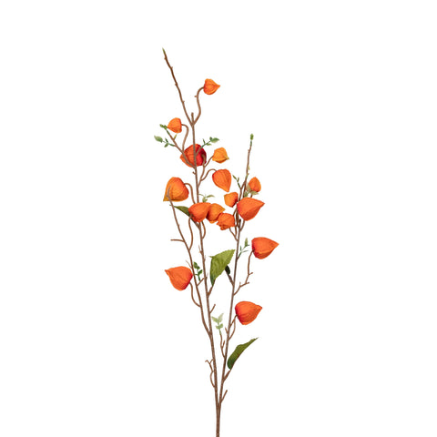 Japanese Lantern Stem