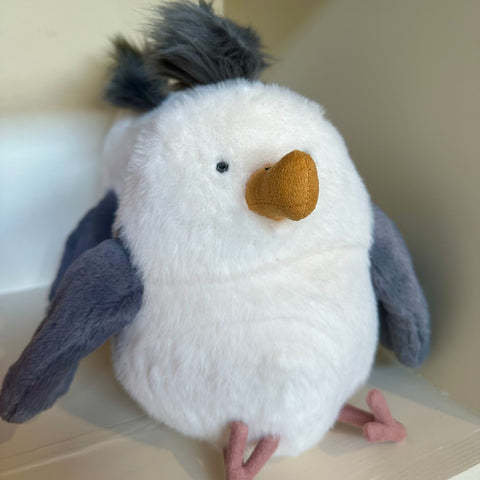 Chip Seagull