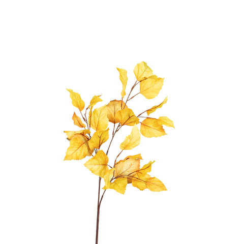 Golden Birch Stem