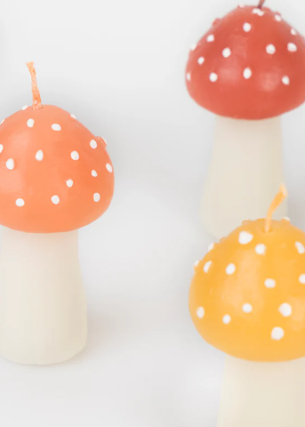 Rustic Mini Mushroom Candle Box Set