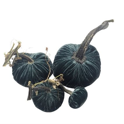 Velvet Decorative Pumpkin in Ocean