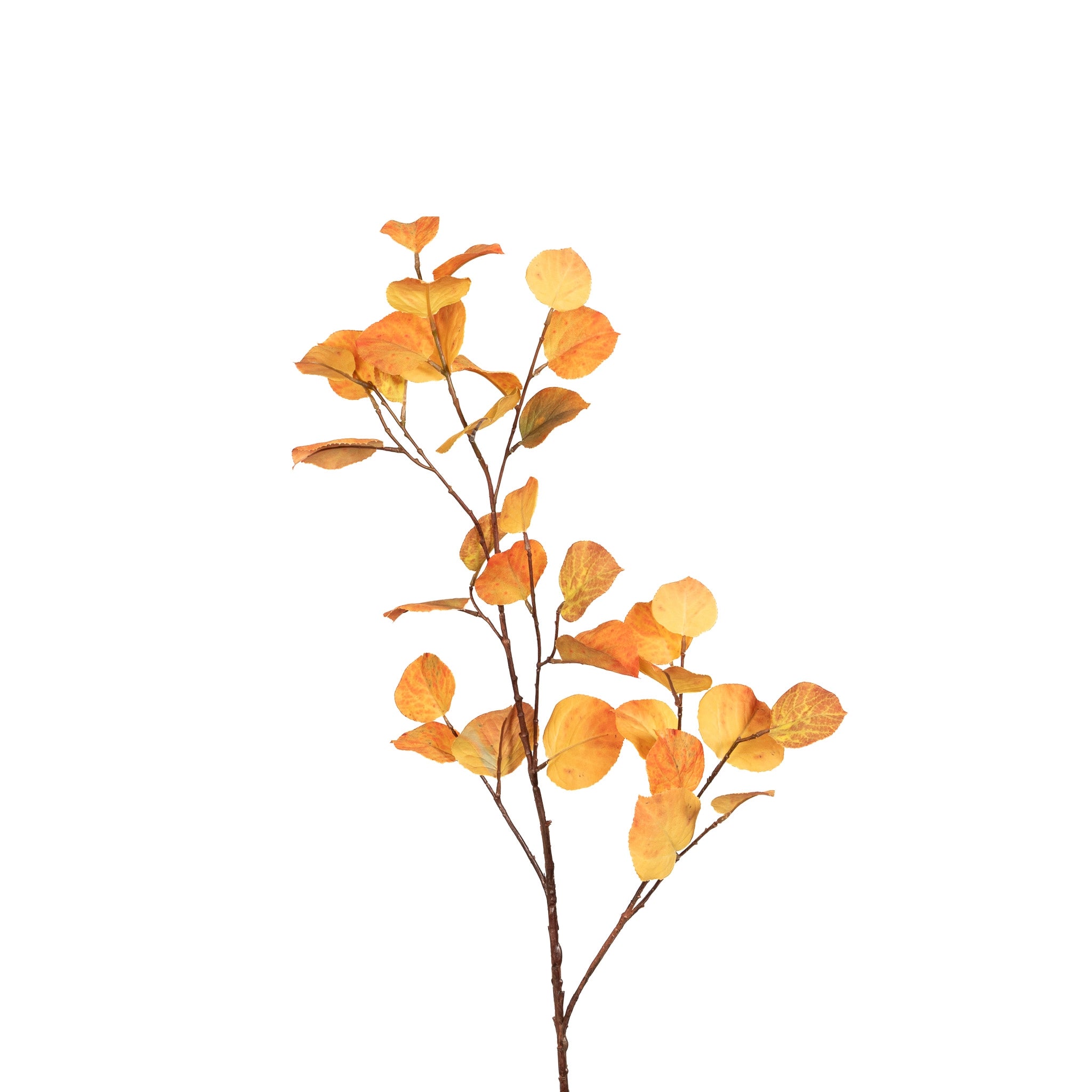 Golden Aspen Leaf Spray