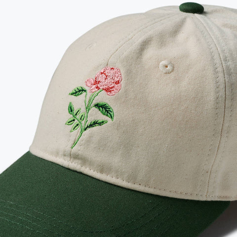 Garden Study Embroidered Baseball Hat