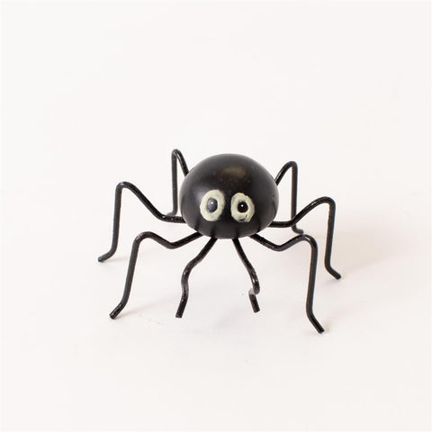 Black Glowy-Eyed Spider