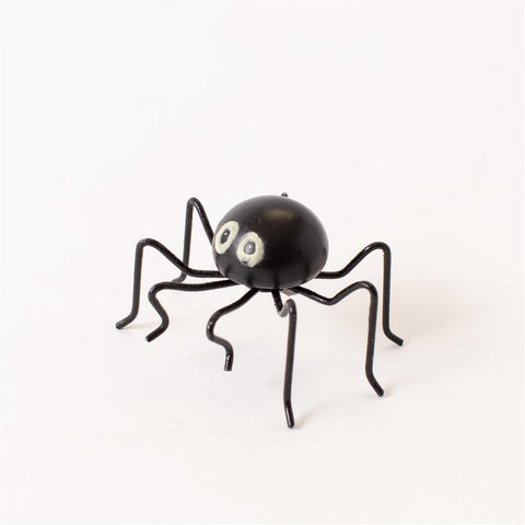 Black Glowy-Eyed Spider