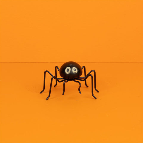 Black Glowy-Eyed Spider