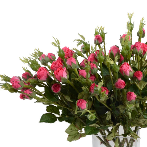 Mini Hot Pink Rose Spray