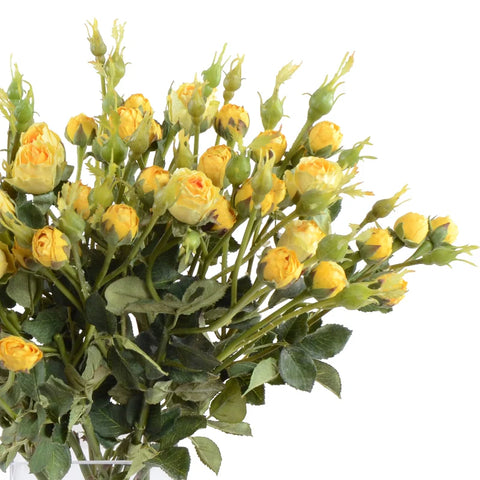Mini Yellow Rose Spray