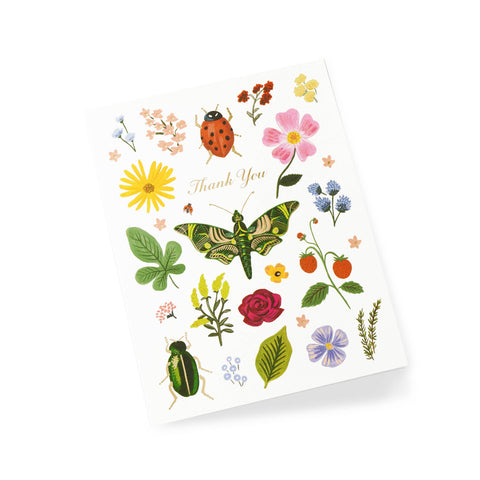 Curio Thank You Card