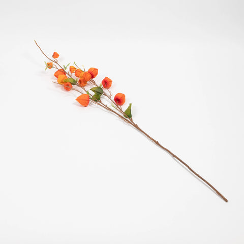 Japanese Lantern Stem