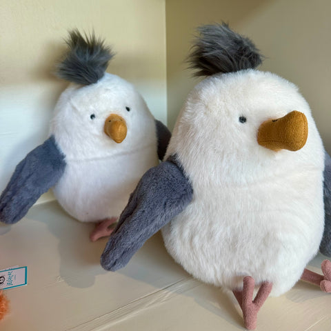 Chip Seagull