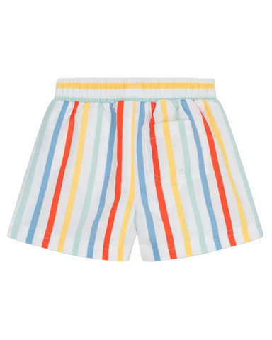Multi-Color Striped Swim Shorts