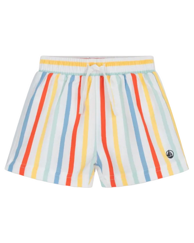 Multi-Color Striped Swim Shorts
