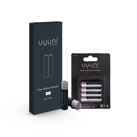 AAA Battery