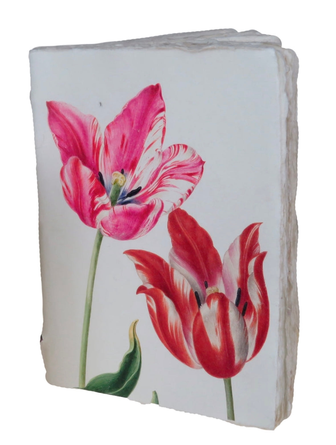 Double Tulip Parchment Paper Notebook