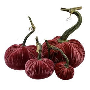 Velvet Decorative Pumpkin in Rhubarb