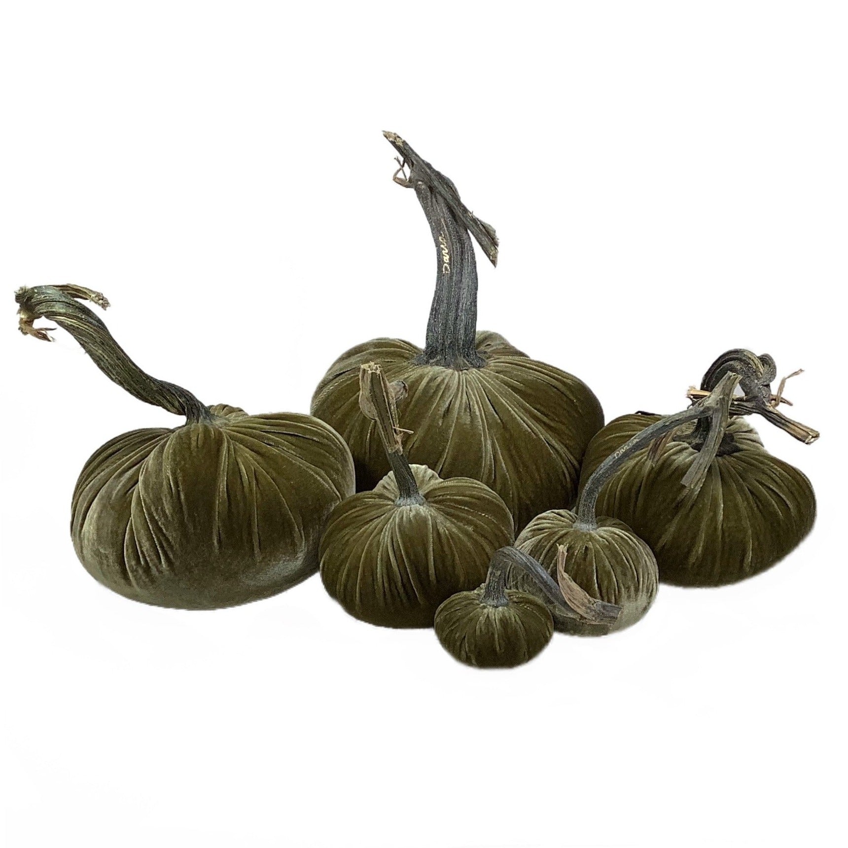 Velvet Decorative Pumpkin in Celery