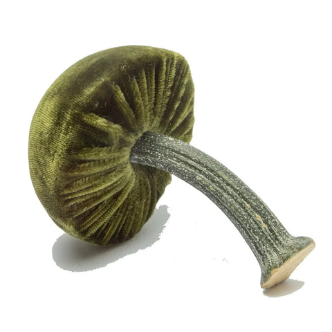 Small Velvet Decorative Mushroom in Moss