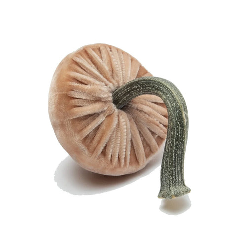 Small Velvet Decorative Mushroom in Sandstone