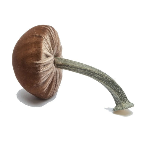 Small Velvet Decorative Mushroom in Mocha