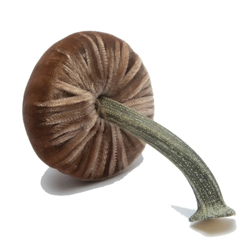 Small Velvet Decorative Mushroom in Mocha