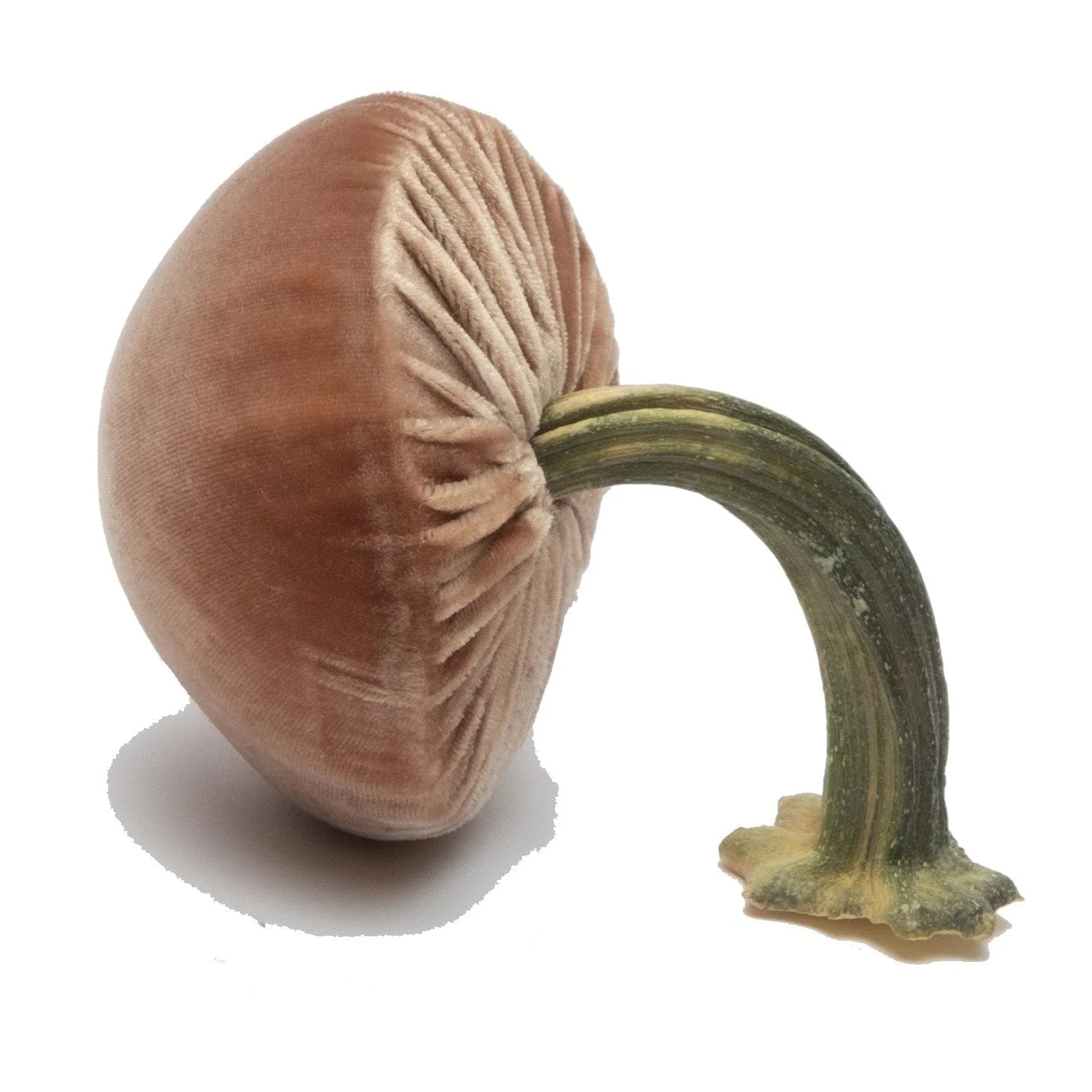 Medium Velvet Decorative Mushroom in Latte