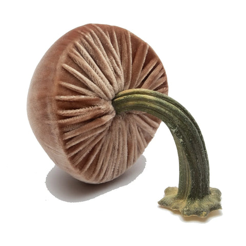 Medium Velvet Decorative Mushroom in Latte
