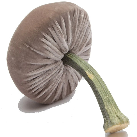 Medium Velvet Decorative Mushroom in Putty