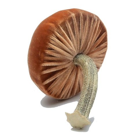 Medium Velvet Decorative Mushroom in Spice