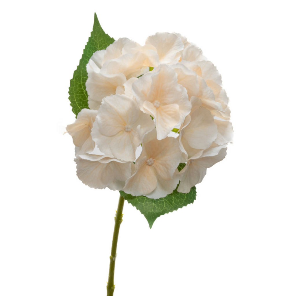 Real Touch Hydrangea Stem in Champagne