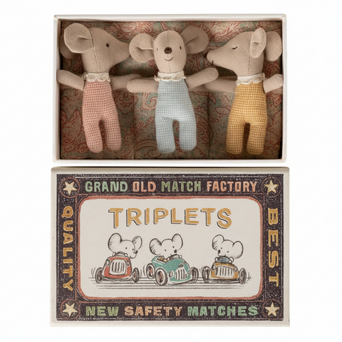 Triplets Baby Mice in Matchbox  In Checker