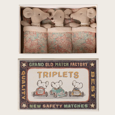 Triplets Baby Mice in Matchbox  In Checker