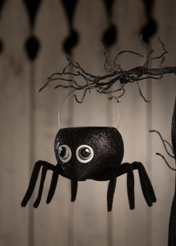 Googlie Eyed Spider Bucket
