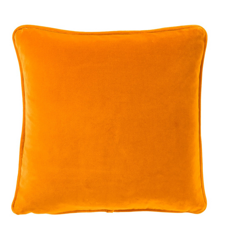 Divan Velour Decorative Pillow in Abricot