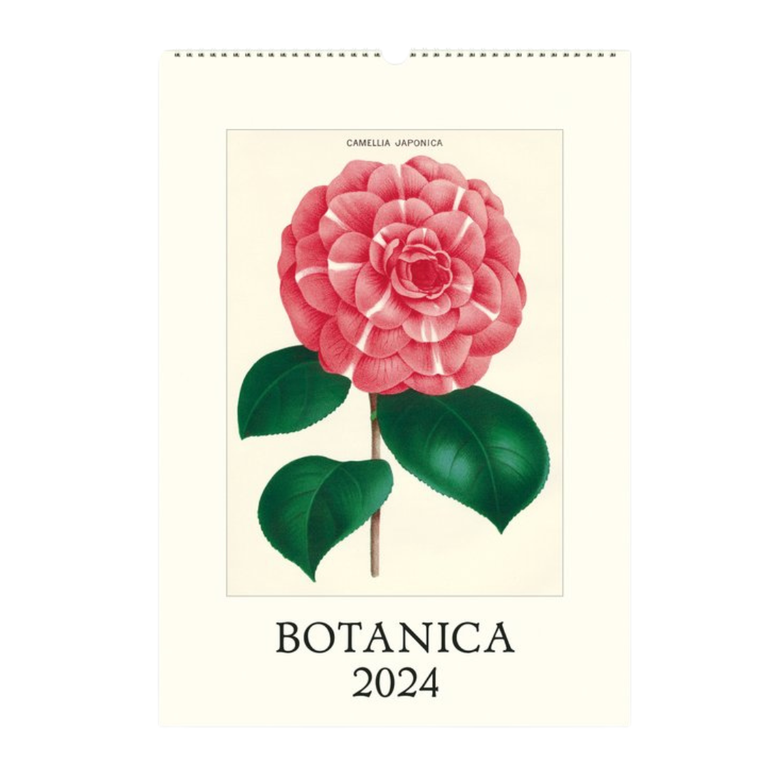 Botanica 2024 Wall Calendar