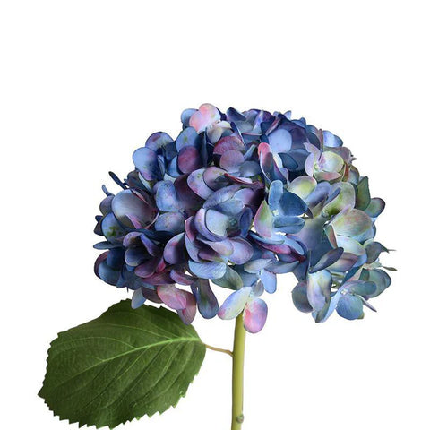 Blue + Purple Hydrangea Stem