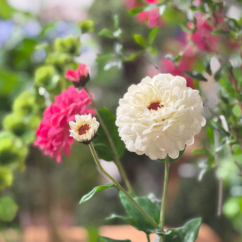 Real Touch White Zinnia Stem