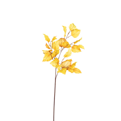 Golden Birch Stem