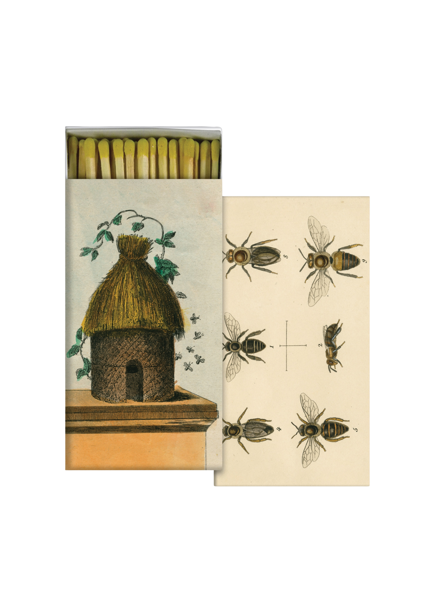 Bees in a Beehive Box of Matches