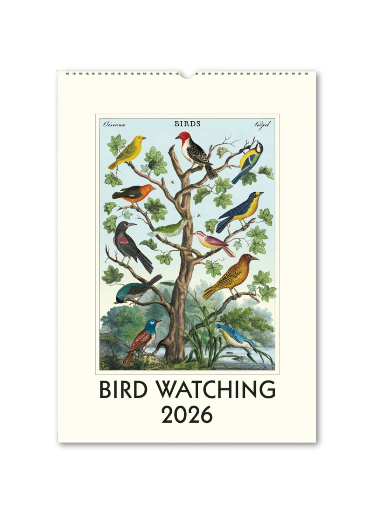 Bird Watching 2026 Wall Calendar