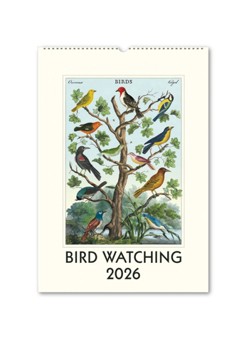Bird Watching 2026 Wall Calendar