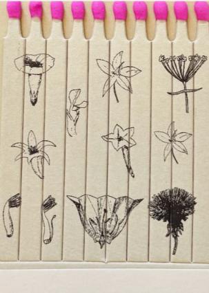 Botanical Match Book