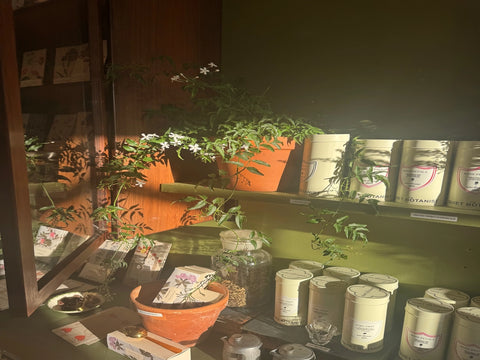 Iced Hibiscus Herbal Tea Canister