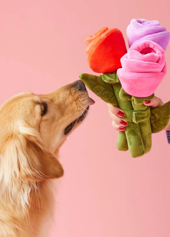 Bouquet of Roses Interactive Snuffle Toy