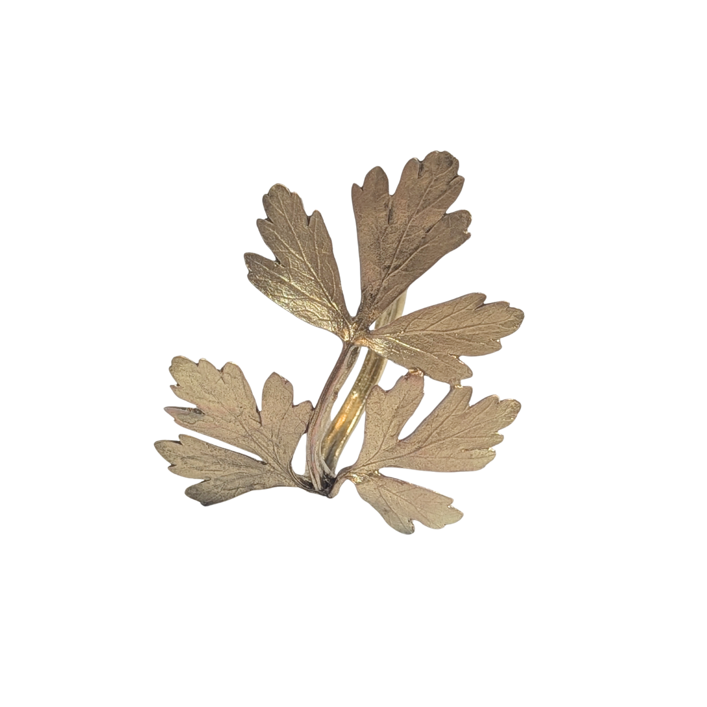 Assorted Herb Metal Napkin Rings in Brass