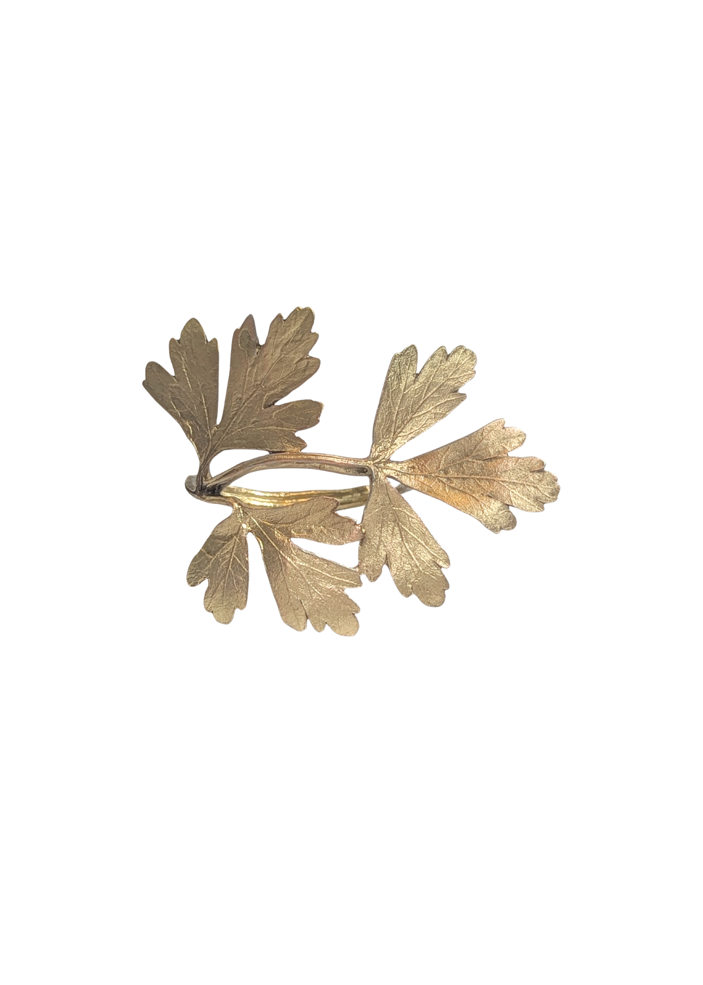 Parsley Herb Metal Napkin Ring in Brass
