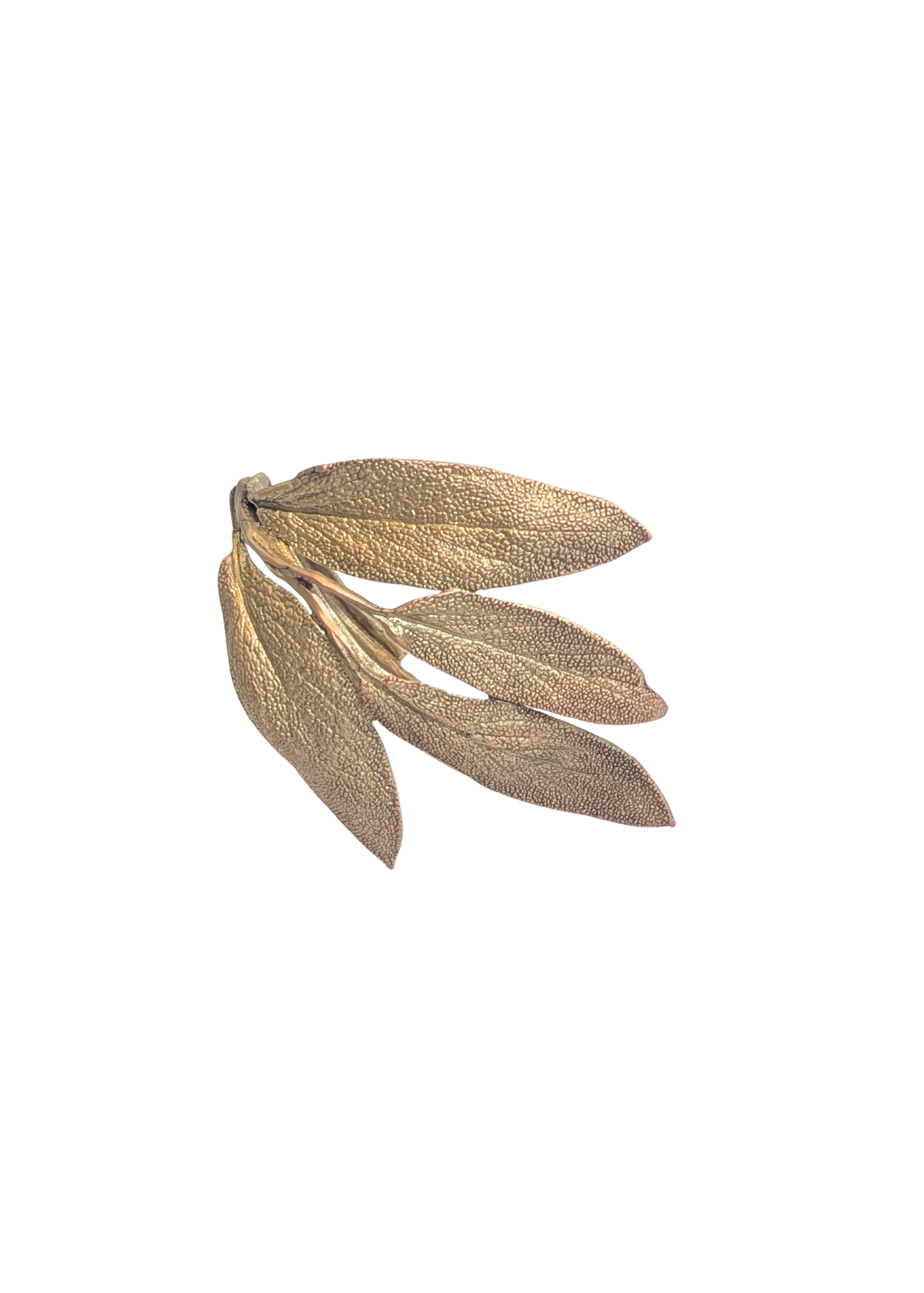 Sage Herb Metal Napkin Ring in Brass