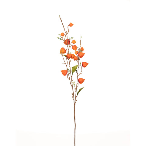 Japanese Lantern Stem