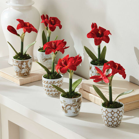 Assorted Chinoiserie Mini Flower Pots