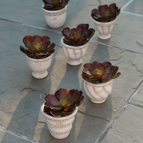 Assorted Wakefield Handmade Mini Pots